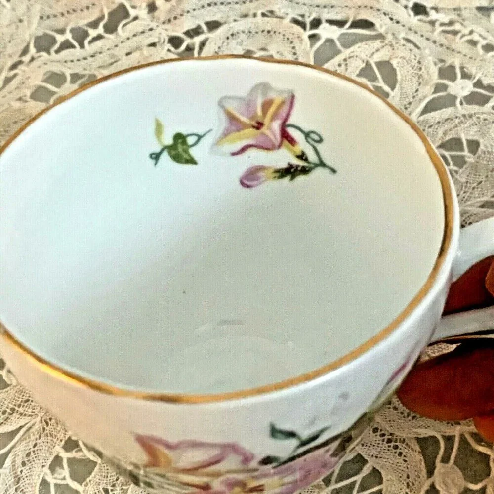 Bone China Tea Cup Saucer Morning Glory Pink Floral Regency England